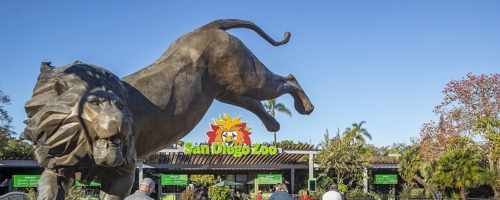 San Diego Zoo Black Car Service